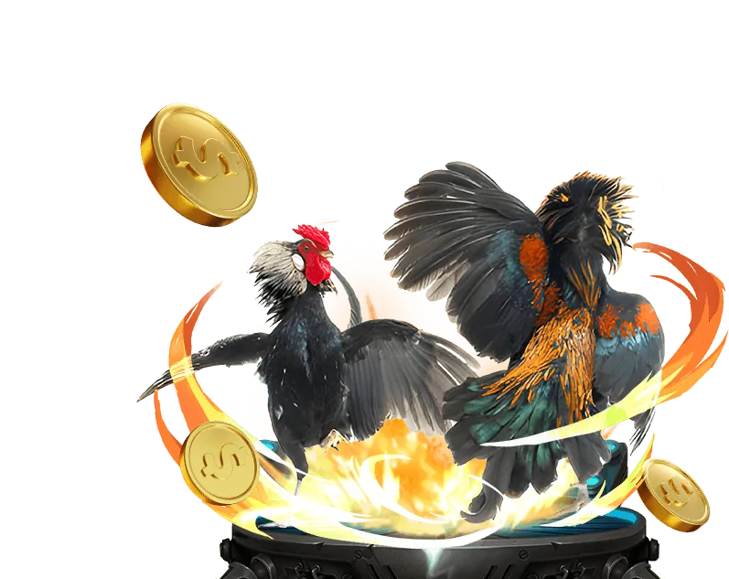 Trận đấu gà cựa sắt tại jn88 game
