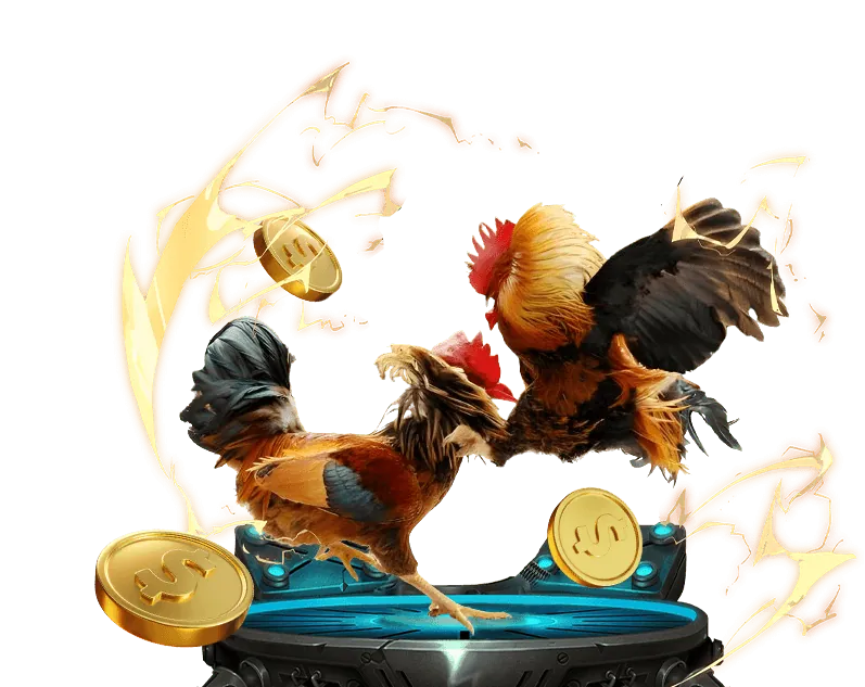 Giao diện hướng dẫn đặt cược đá gà tại jn88 game